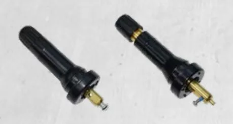 Tyre pressure monitoring sensor valves